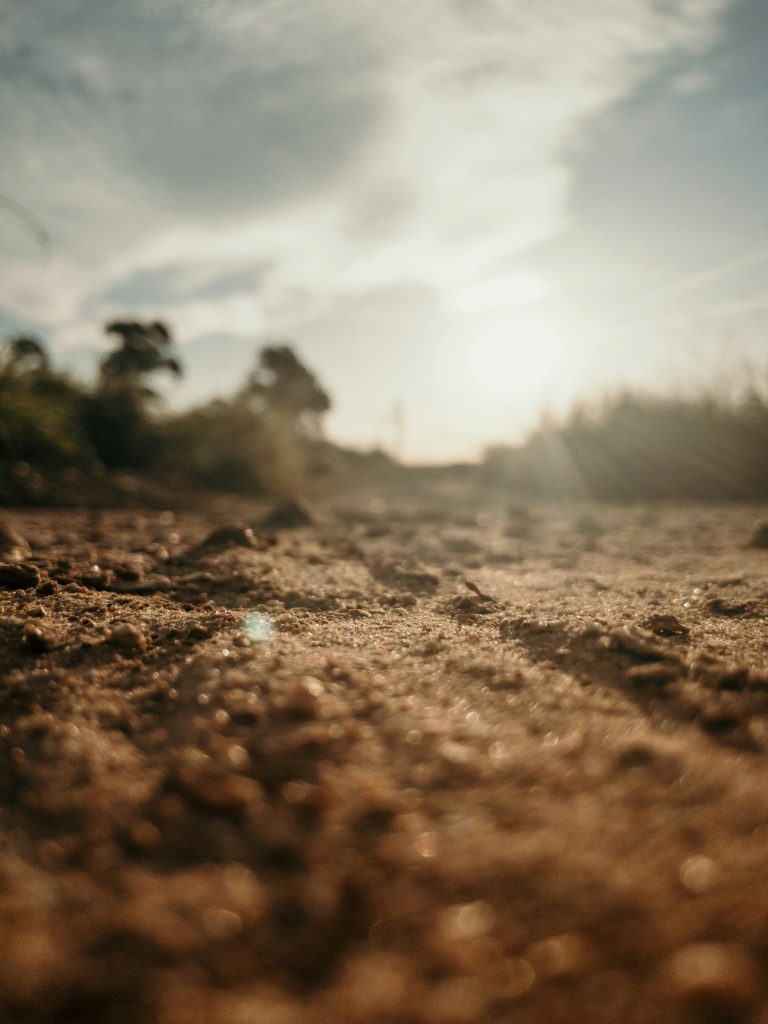 Braune Erde in Nahaufnahme. Im verschwommenen Hintergrund ein paar Bäume und die untergehende Sonne